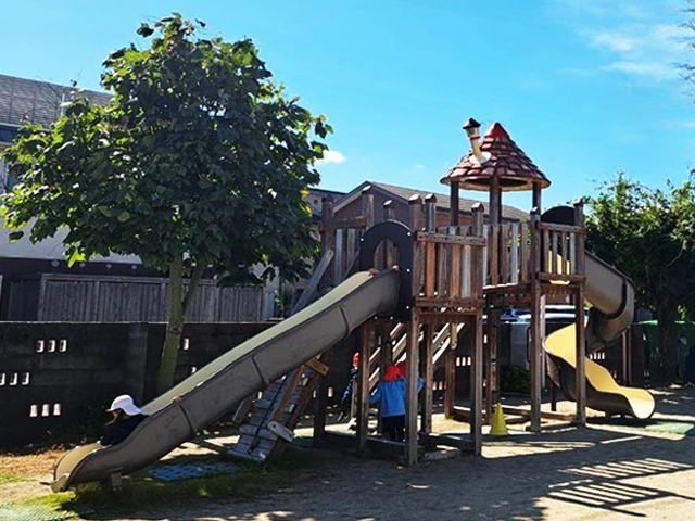 コリーンのコーナー