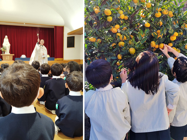 コリーンのコーナー