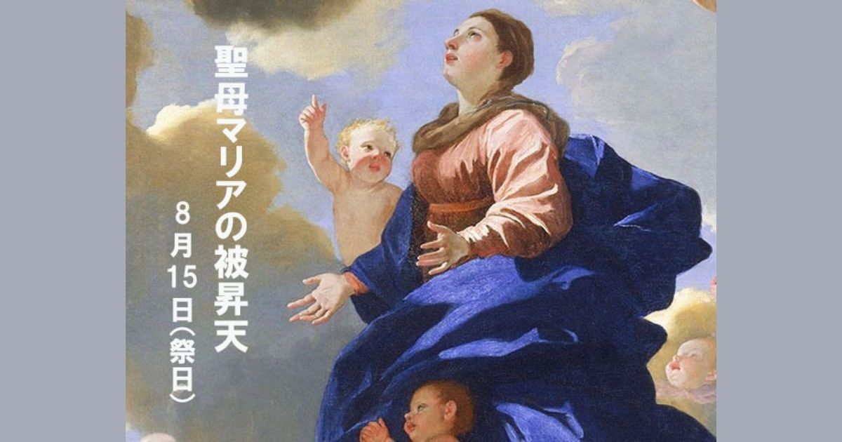 20260815.jpg