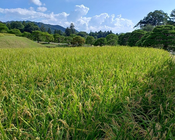 毎月のお便りイメージ