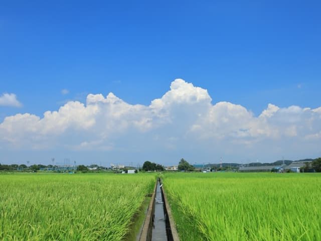 毎月のお便り