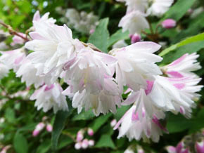 今日の心の糧イメージ