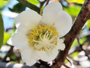 今日の心の糧イメージ