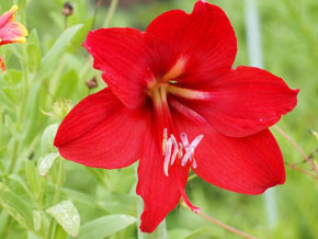 今日の心の糧イメージ