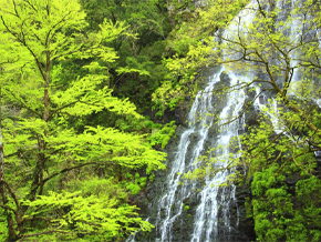 今日の心の糧イメージ