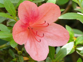 今日の心の糧イメージ