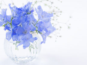 今日の心の糧イメージ