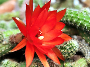 今日の心の糧イメージ