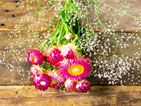 今日の心の糧イメージ