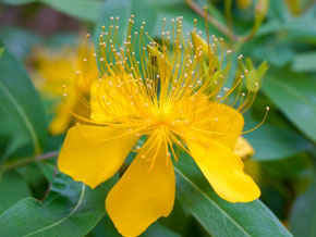 今日の心の糧イメージ