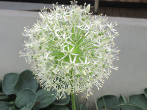 今日の心の糧イメージ