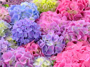 今日の心の糧イメージ