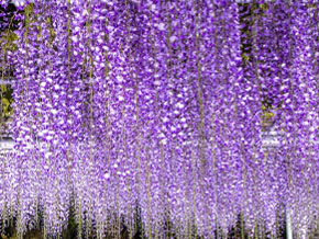 今日の心の糧イメージ