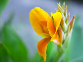 今日の心の糧イメージ