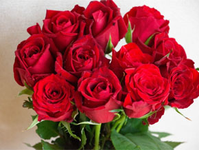 今日の心の糧イメージ