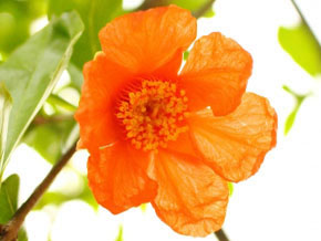 今日の心の糧イメージ