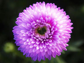 今日の心の糧イメージ