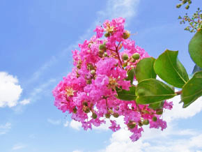 今日の心の糧イメージ