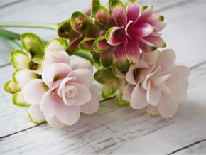 今日の心の糧イメージ