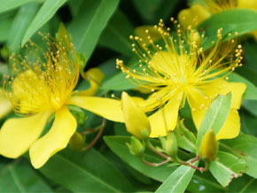 今日の心の糧イメージ