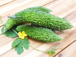 今日の心の糧イメージ