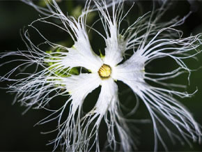 今日の心の糧イメージ