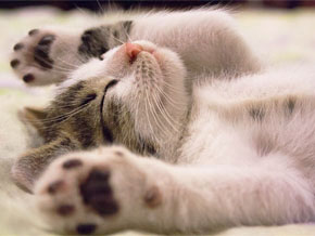 今日の心の糧イメージ