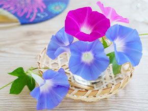 今日の心の糧イメージ