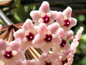 今日の心の糧イメージ