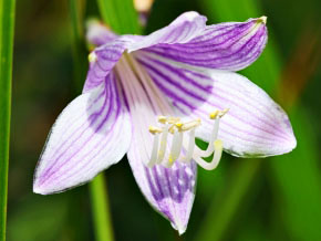 今日の心の糧イメージ