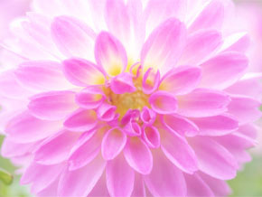 今日の心の糧イメージ