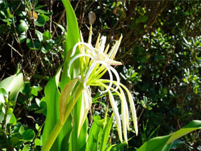 今日の心の糧イメージ