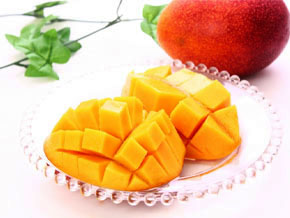 今日の心の糧イメージ