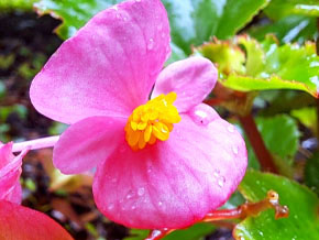 今日の心の糧イメージ