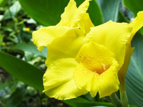 今日の心の糧イメージ