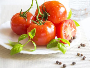 今日の心の糧イメージ