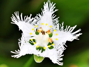 今日の心の糧イメージ