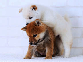 今日の心の糧イメージ