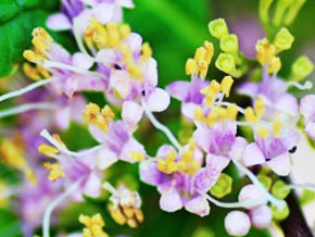 今日の心の糧イメージ