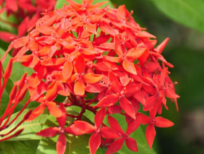 今日の心の糧イメージ