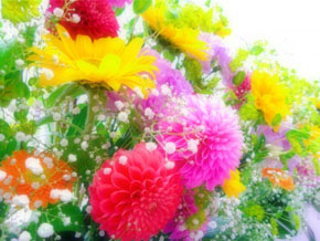 今日の心の糧イメージ