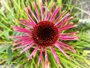 今日の心の糧イメージ