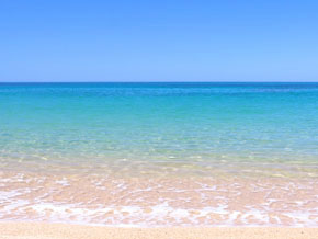 今日の心の糧イメージ