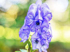 今日の心の糧イメージ