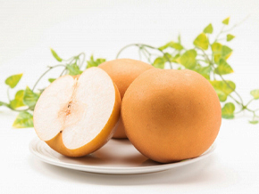 今日の心の糧イメージ