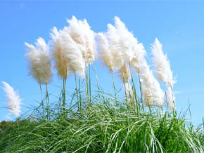 今日の心の糧イメージ