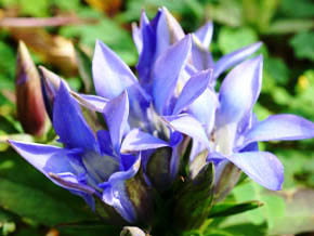 今日の心の糧イメージ