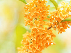 今日の心の糧イメージ