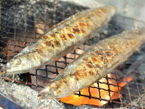 今日の心の糧イメージ