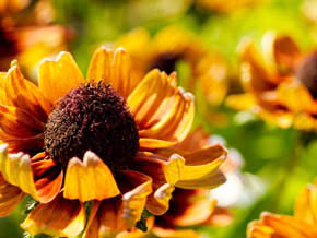 今日の心の糧イメージ